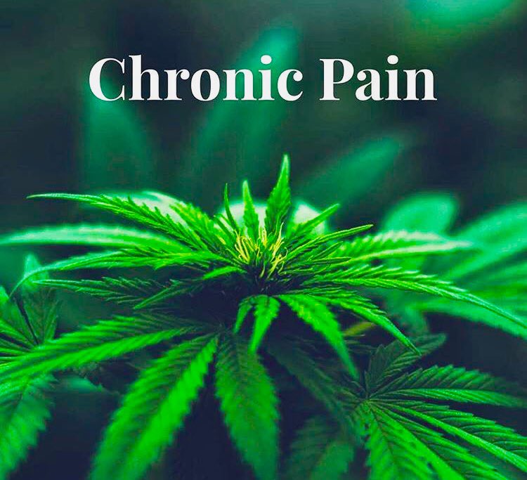 NorCalStoner420's tweet photo. “When Used in Conjunction with #Opiates, #Cannabinoids Lead to a Greater Cumulative Relief of Pain, Resulting in a Reduction in the Use of Opiates and Side-effects”. https://t.co/FCt0wtr6nl