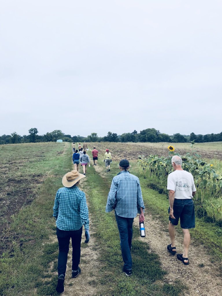 WineAndGarden's tweet photo. RT^@BirchwoodCafe: Out into the tomato field we go, to lose our mind and find our soul! AND pull some weeds! @MNFarmersUnion #cropmob #riverbendfarm #localfarmer #heirloomtomatoBLT #goodrealfood #farmtofair ๐ฉ๐ผโ๐พ๐ก๐ฅ๐ฑ๐
https://t.co/knVy6c0Yjl