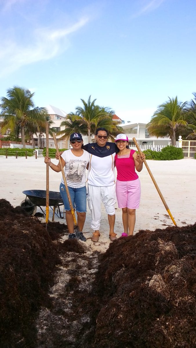 omaralpuche's tweet photo. La tranquilidad y la belleza de las #Playas del Estado de #QuintanaRoo son únicas y para muestra las de #PuertoMorelos ...la constancia para la limpieza de éstas la clave...@PtoMorelosAyto... @LFpuertomorelos @ICCALPMORELOS gracias compañeros  @DIANELALORIA @Francis67713165 https://t.co/S7w31N4DTc