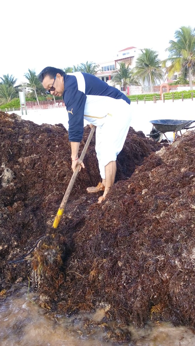 La tranquilidad y la belleza de las #Playas del Estado de #QuintanaRoo son únicas y para muestra las de #PuertoMorelos ...la constancia para la limpieza de éstas la clave...<a href="/PtoMorelosAyto/">Ayto. Puerto Morelos</a>... @LFpuertomorelos @ICCALPMORELOS gracias compañeros  <a href="/DIANELALORIA/">DIANELA LORIA</a> <a href="/Francis67713165/">Francisco</a>