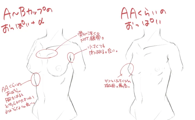 小さいおっぱいって良いねって思ったの。 