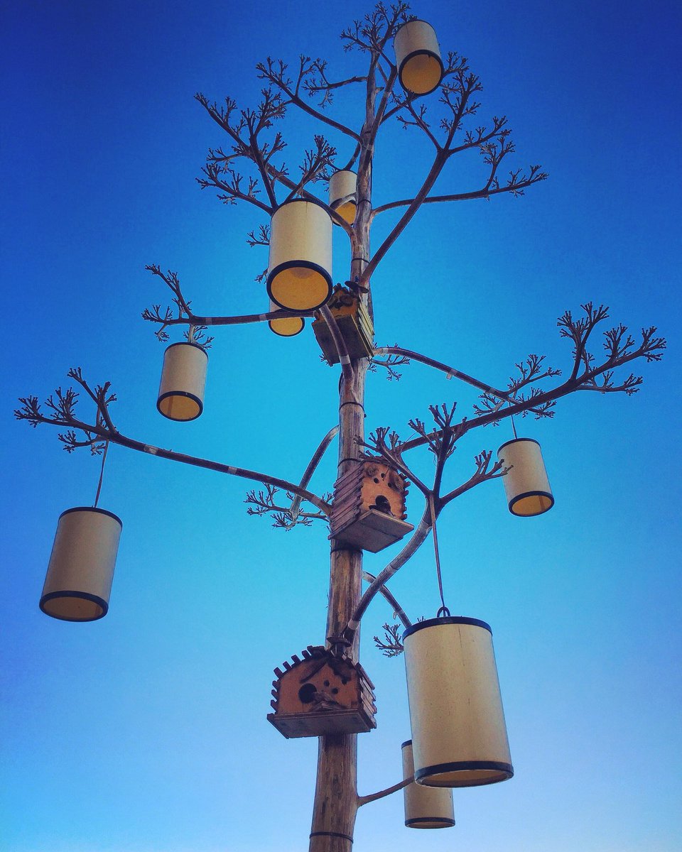 orceyhoteldatca's tweet photo. Göğe bakma durağı, Orcey Hotel, sahil kenarı...🕊 Turgut Uyar’a selam olsun. 🎈
#orceyhotel #orceyhoteldatca #datça #datcadayasam #datcalife #ege #akdeniz #tatil #tourism #tourismturkey #discoverdatca #discoverturkey #datcaotelleri #datçaotelleri #göğebakmadurağı #turgutuyar #yaz https://t.co/AKTf9kU8ey