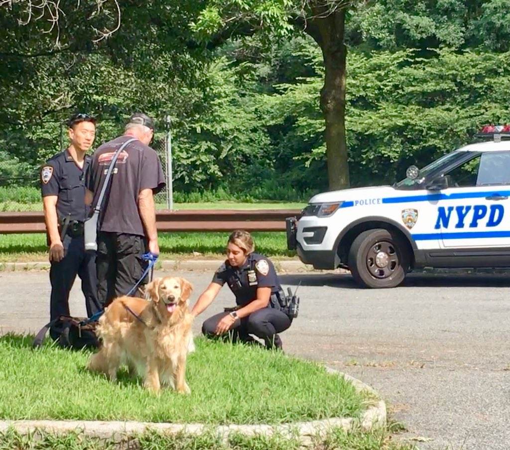 NYPDauxiliary's tweet photo. Happy to report that @NYPD111Pct #NeighborhoodCoordinationOfficers Dan Kim &amp; Stephanie Collado are doing a great job connecting with community including the 4 legged ones @NYCParks Alley Pond Park! Keeping us informed about vehicle thefts. #BuildingtheBlock https://t.co/4CtFwIdjBm