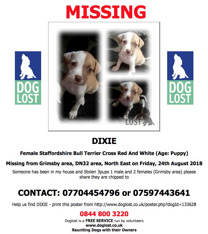 DogLostUK's tweet photo. https://t.co/jt1sXwNKjV
#LOST #DOG DIXIE
** 3 #PUPPIES MISSING **
Female #StaffordshireBullTerrier #Puppy
#Grimsby #DN32
Friday, 24th August 2018 #LostDog #ScanMe
https://t.co/u4ocnDUqxR @VetsGetScanning @SAMPAuk_ https://t.co/7ioelmmYvu