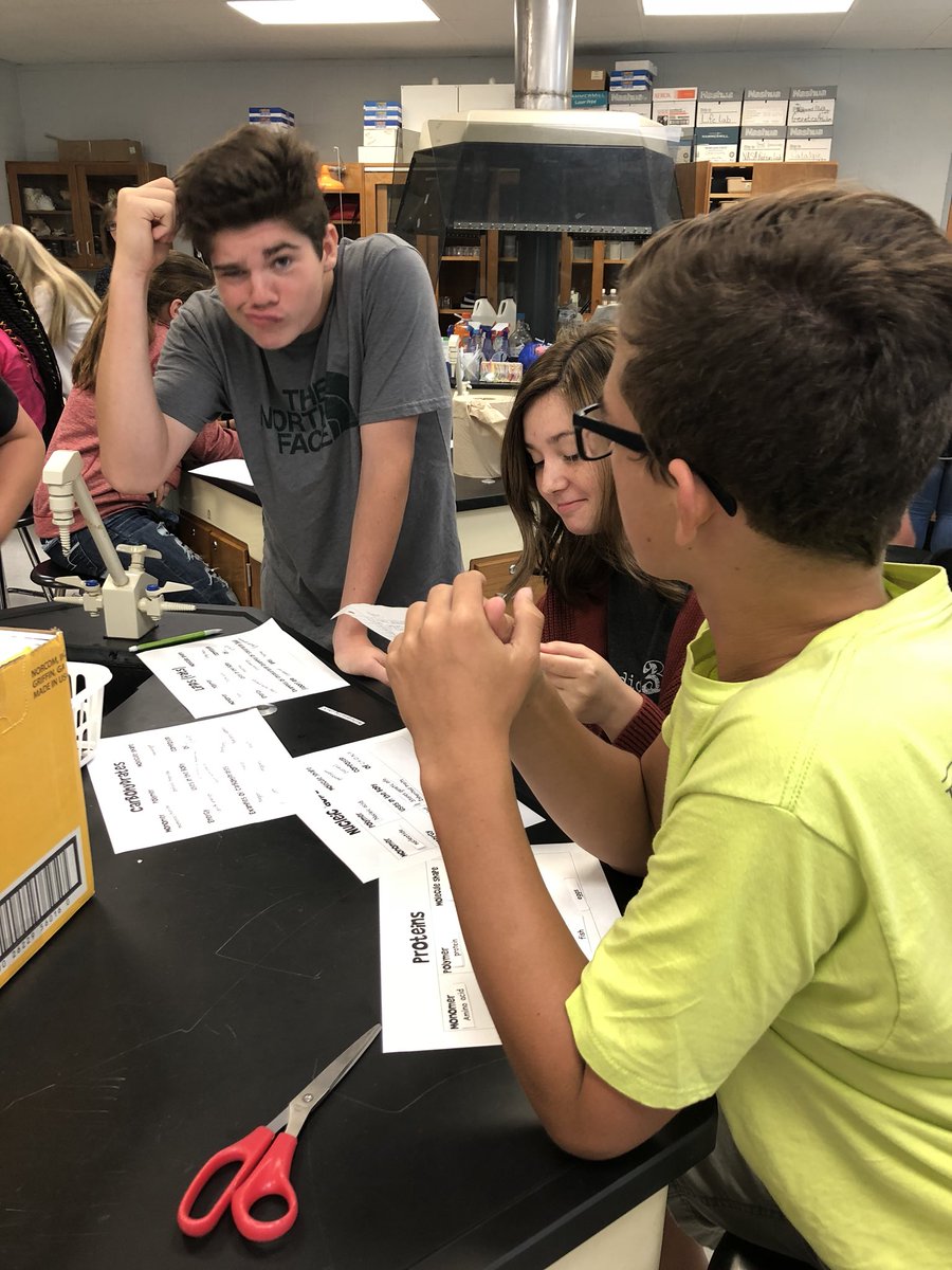 loriannroberts's tweet image. Last week in biology ➡️ #macromolecule word sort with friends #TakeChances @TrojansMSHS @MSCSTrojans