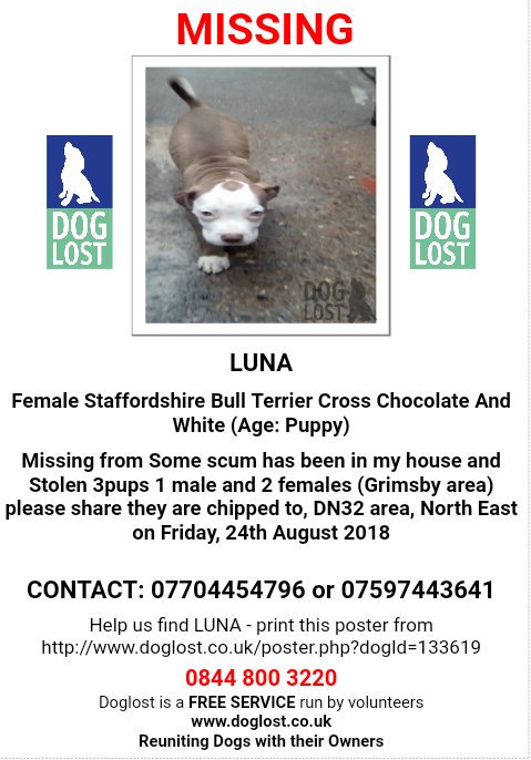 MissingPetsGB's tweet photo. 🐕🙏🙏🙏 #URGENT
Staffy X pup LUNA
#STOLEN with DIXIE & BOSS (BOSS NOW HOME)
LUNA -Mainly chocolate with 4 white paws & tipped tail has a clear chocolate spot right in middle of her head & a white face
Taken from house 24 Aug 2018
#Grimsby area #DN32
https://t.co/uRwxLbzNvS