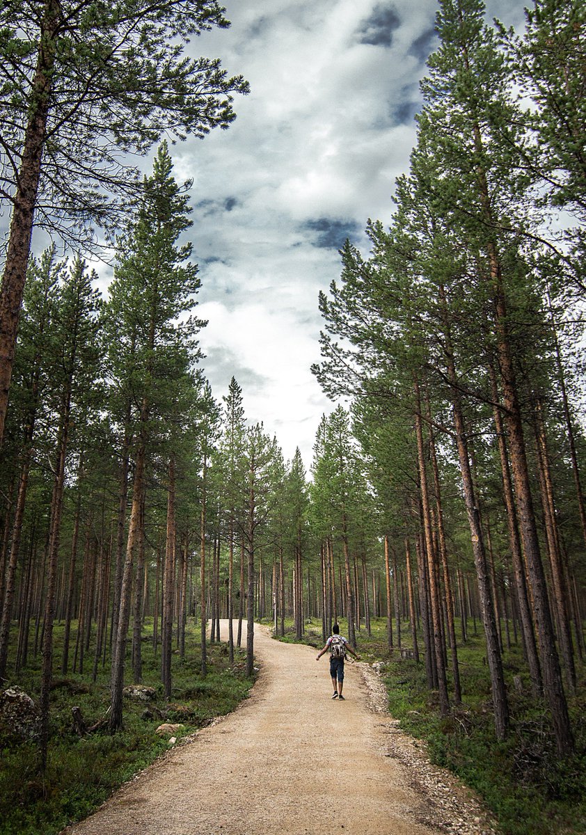 The last Saturday of August in Finland is dedicated to The Finnish Nature day. Nature and nature products play a very important role in a Lappish lifestyle, so put your sneakers on, take your backpack and head outdoors to celebrate with us! 🌲🍃💚.
Photo: <a href="/majkavojtovic/">Mária Vojtovičová</a>