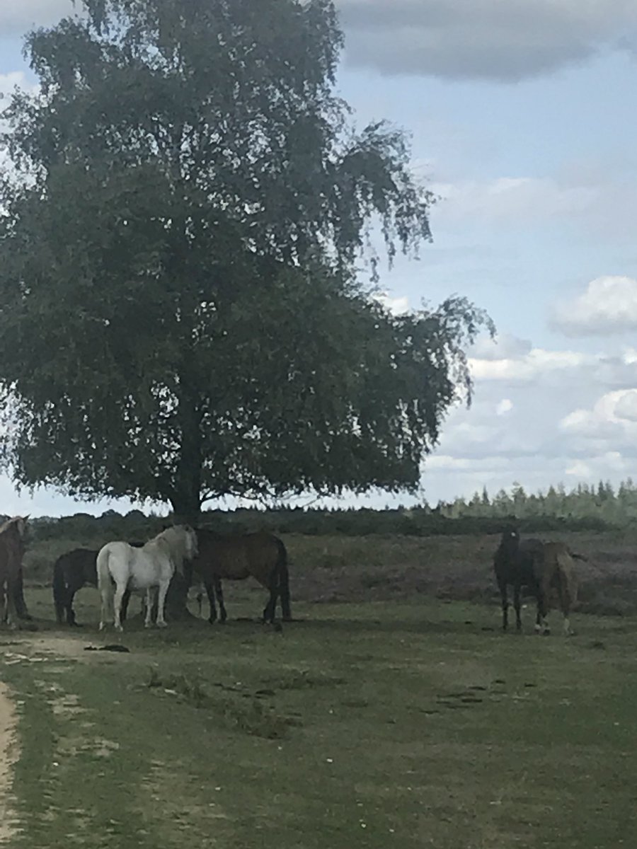 ActionDivaJacks's tweet photo. Luv a drive into the countryside https://t.co/UYNQXfYW05