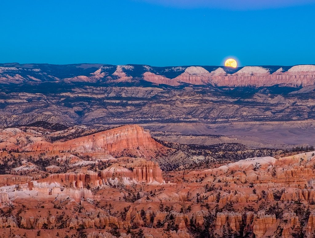 andresousaphoto's tweet image. Super Moon Over Bryce Canyon

A giant natural #amphitheaters, and the this evening’s feature; The super-moon. It&apos;s not just the #moonrise; but also the last remaining light of the #sunset that’s needed to capture this moment ...
#brycecanyon / 2018
#fujifilm
