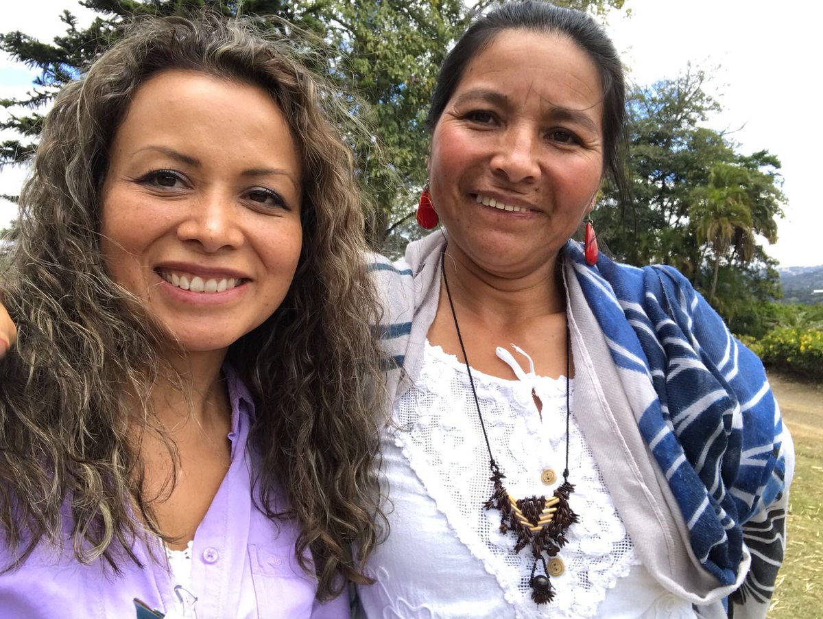 Bird Rock Coffee tweet media