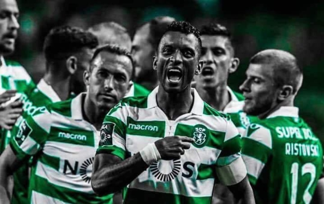 NucleoSporting's tweet photo. Vamos leões, conquistem os 3 pontos
#DiaDeSporting https://t.co/EiDH4bb8aS