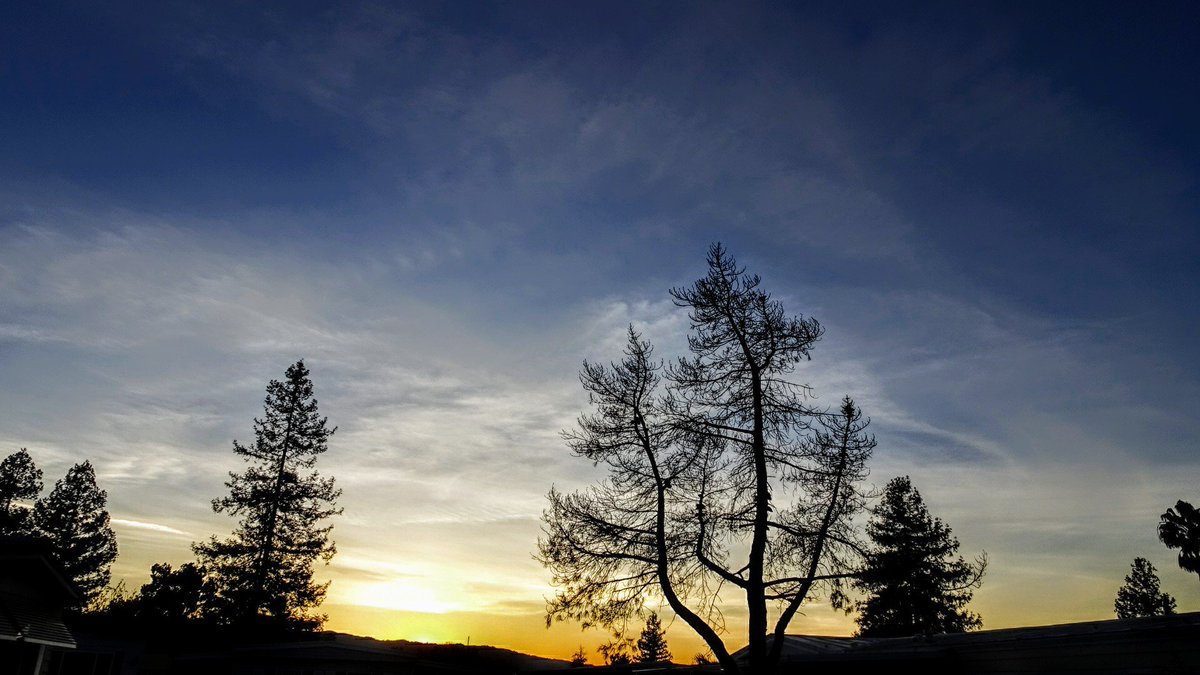 PatrickForcier's tweet image. Please Rt - Looking for Bay Area California Models to work with if interested DM me. #BayAreaPhotographer #PleasantonCA #BayAreaModels