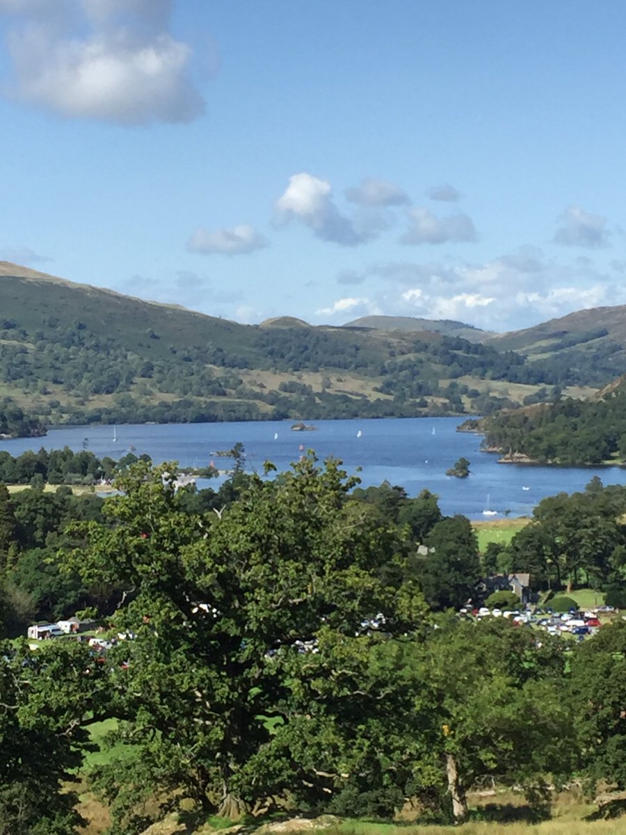 David Grady tweet media