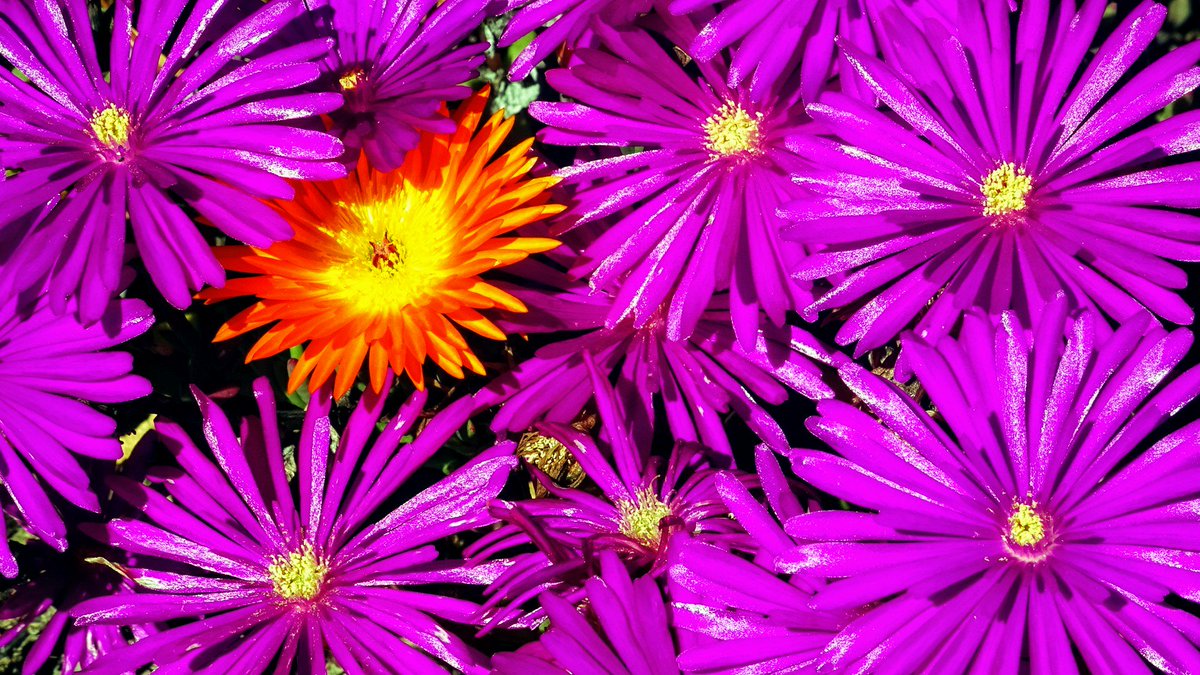 PatrickForcier's tweet image. Please Rt - Looking for Bay Area California Models to work with if interested DM me. #BayAreaPhotographer #PleasantonCA #BayAreaModels