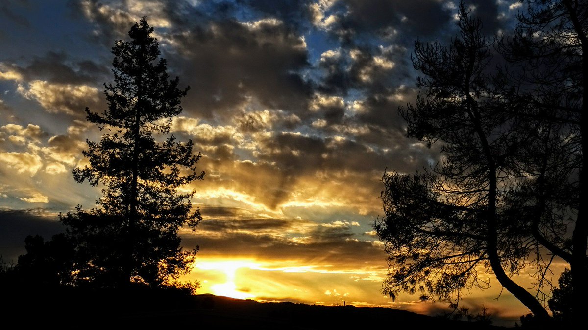 PatrickForcier's tweet image. Please Rt - Looking for Bay Area California Models to work with if interested DM me. #BayAreaPhotographer #PleasantonCA #BayAreaModels