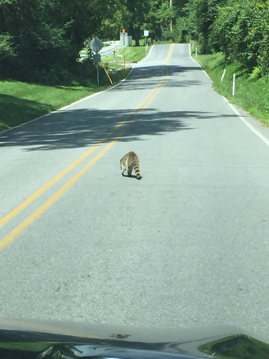 Boalgreg's tweet photo. Traffic is brutal today. https://t.co/hWUwfdBoy7