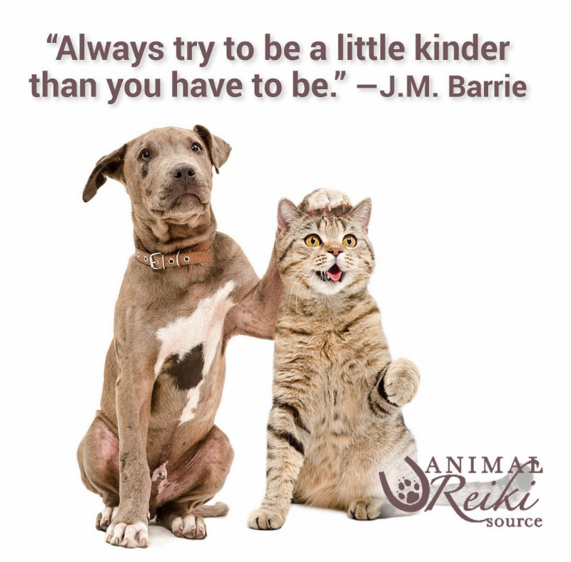 ARS_animalreiki's tweet image. Have you seen our latest news? #LifeLessonsFromAnimals #LetAnimalsLead conta.cc/2BAtUqA