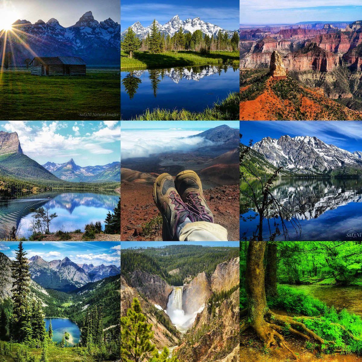 Happy 102 National Parks!! 😍
#americasbestidea #FindYourPark #NPS102 
#NPSBirthday #publiclands 
@Interior @NP_Geek @NPCA 
@ParksTraveler @goexploreparks @ThePhotoHour