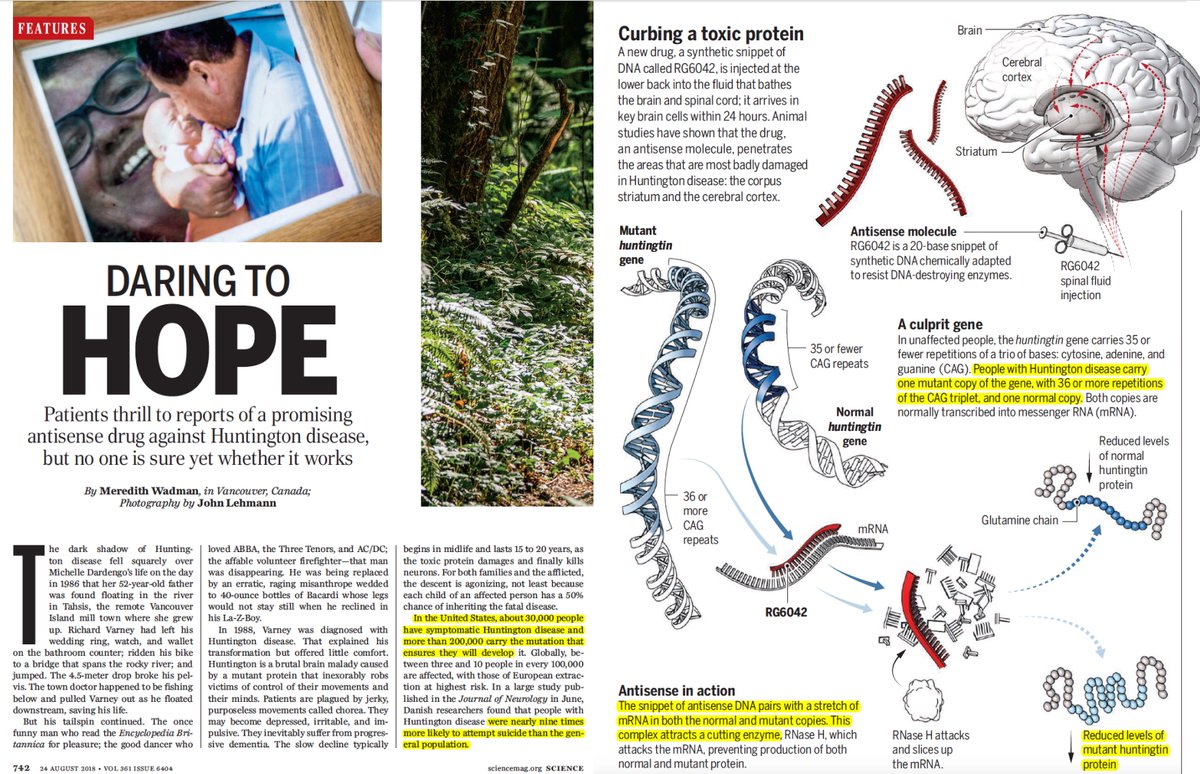EricTopol's tweet photo. How manipulating the genome offers some hope in rare diseases:
—#HuntingtonDisease https://t.co/bIUDtjH3D7
by @meredithwadman antisense @ionispharma @HDAwareness—#MuscularDystrophy https://t.co/PvUGHgf38P #CRISPR by @antonioregalado @ExonicsTx https://t.co/U9z5SmD9RC