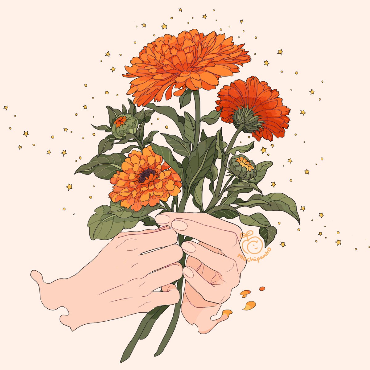 mochiipanko's tweet photo. [calendula officinalis] english marigold https://t.co/uyC8KU5DAT