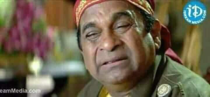 SSMBsWarrior's tweet photo. @TrendsHyderabad Zoo Pans Now ::

#SigguleniNTRFans
#AadangiHeroNTR
#MangalavaramNTRFans
#StreetChowdaryDogsNTRFans
#MaHeroKitikiNunchiDhukaledhu
#MaHeroPellanniAsaluKottadu
#MaaHeroKiReplyIvvaLedhu 
#KonchamJwaramGaVundhi
#NizamGayNTR
#LabbeyNTR
#DontMessWithDHFMS https://t.co/ePKinxJD8j