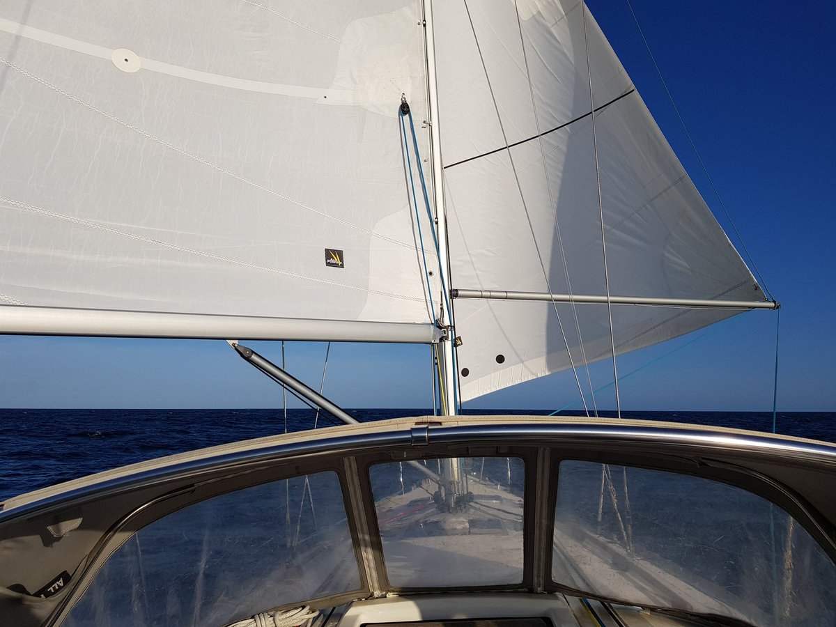 Nico Lunven tweet media