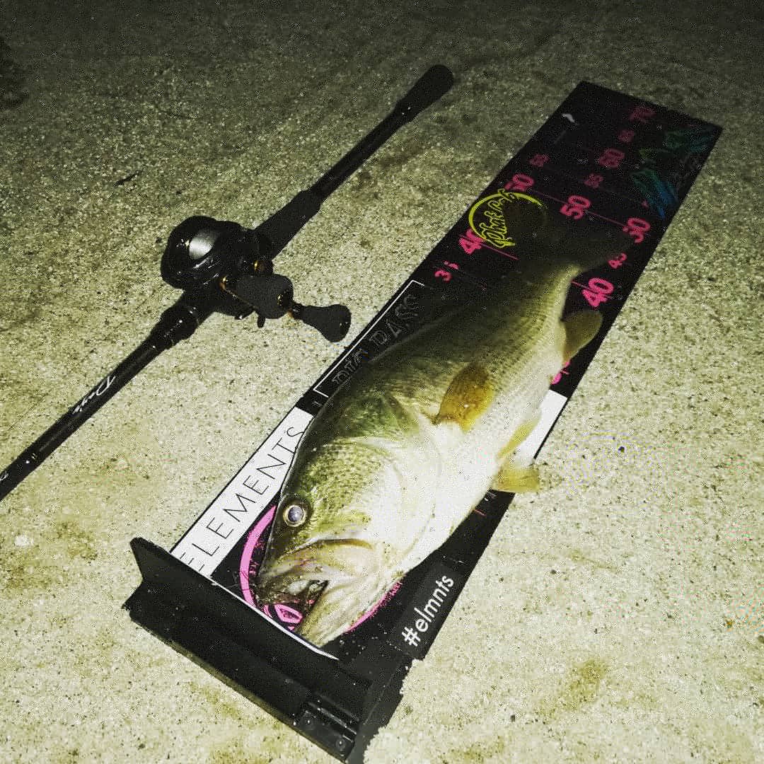 Tkf Lures 琵琶湖夜釣りで妻に約一年ぶりの45upがヒットしました メジャークラフト メジャークラフトdays アブガルシア ロキサーニパワーシューター ハイドアップ スタッガーワイドツインテール 琵琶湖バス釣り 夜釣り ブラックバス ヘビキャロ Tkf Lures 琵琶湖夜釣りで妻に約一年ぶりの45upがヒットしました メジャークラフト メジャークラフトdays アブガルシア ロキサーニパワーシューター ハイドアップ スタッガーワイドツインテール 琵琶湖バス釣り 夜釣り ブラックバス ヘビキャロ