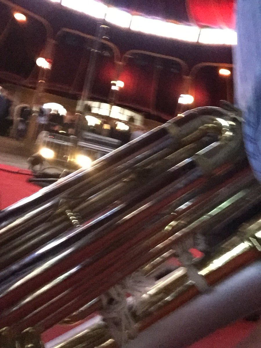 Sheesham&Lotus&Son tweet media