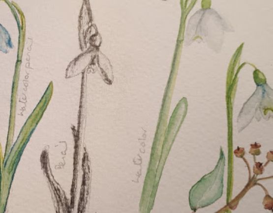 NetworkArtistsN's tweet photo. *Member Spotlight*

Caroline Mann works in #textiles and #mixed #media and more recently has returned to painting #wild and #garden #flowers in #water #colour.

Find out more here - https://t.co/jpyZpTX1KL https://t.co/Lyx6kZa51Y