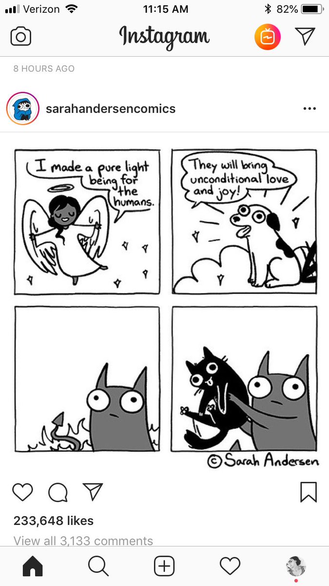 ornate_mouse's tweet photo. I like cats too but thereโs some truth in this ๐ #sarahandersoncomics #dogsarejoy https://t.co/b0aJfWrN8T