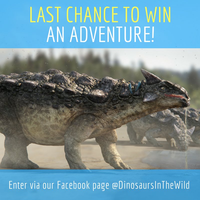 DinosInTheWild's tweet photo. 🚨 LAST CHANCE! 🚨 We're giving away a family ticket to the experience and an ace bedroom bundle worth up to £100, plus 10 runners-up prizes! Head to our Facebook page here 👉 https://t.co/2LZILyuNTH for your chance to win a mind-blowing family adventure! #DinosaursInTheWild https://t.co/Mona4NZIb1