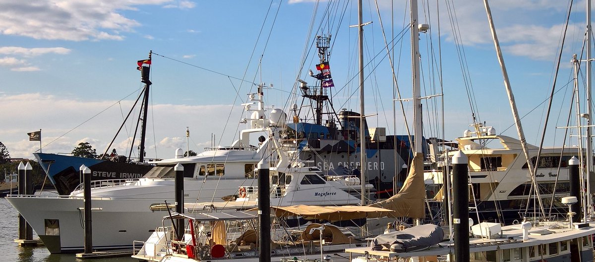 The Sea Shepperd, Steve Irwin is docked at the Queensport rd marina in Brisbane. They are offering free ship tours with some merch outside. I might try and check it out on this rainy day