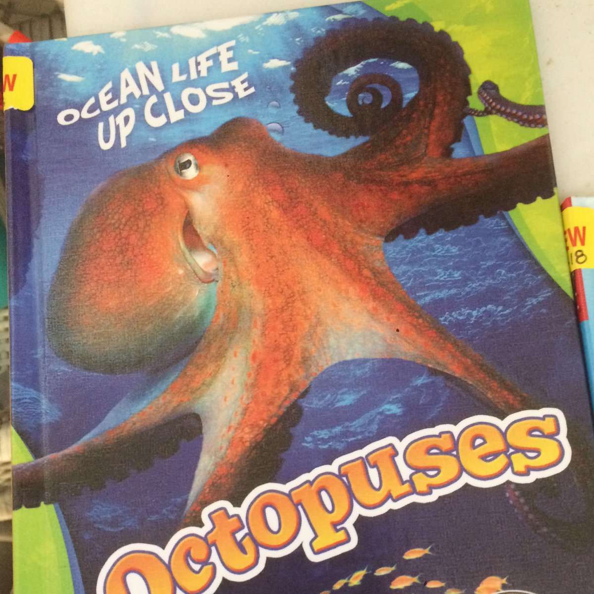 LibraryLadyCDPL's tweet image. Great books!!!