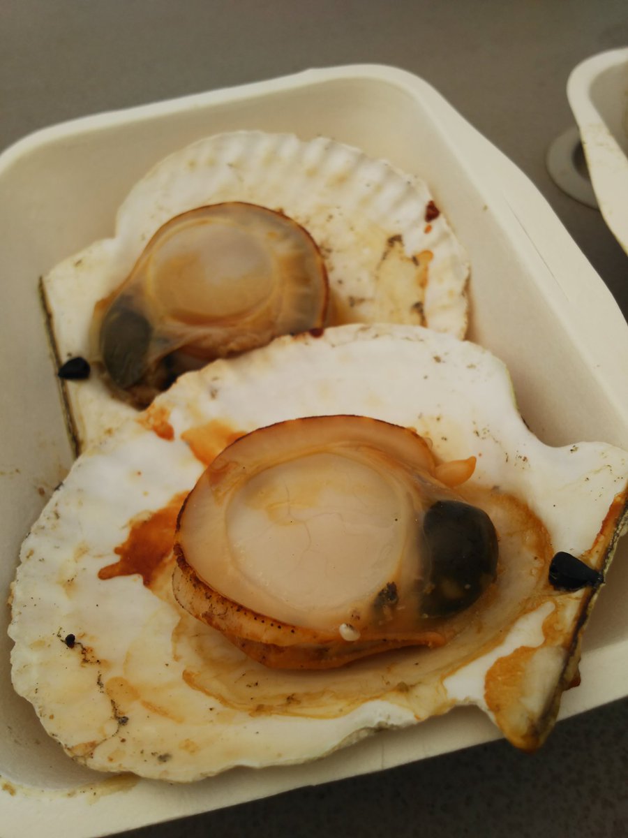 ICHIKAWA_MIKA's tweet image. BBQしたよ♪
サザエとホタテがめちゃくちゃ美味しかったぁ～❤️

#BBQ
#WILDMAGIC