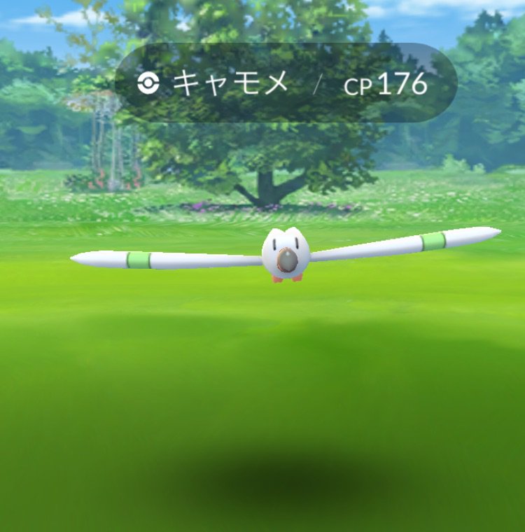 ポケモンgo キャモメ色違い登場 一般開放は横須賀イベント開始から