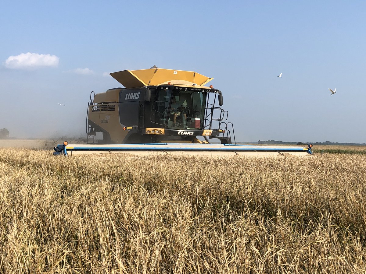 jaycoker7's tweet photo. #rice harvest in full swing. #usarice Safe affordable healthy #eatmorerice #arkansasrice @RiceArkansas @producersrice @RiceTec #harvest2018 @Think_Rice #usrice @annacoker3 #cokerfarms @CLAAS_America @CaseIH_UK_IRE @ShelbourneReyno @NewHollandAG https://t.co/ZA4uHgj7n6
