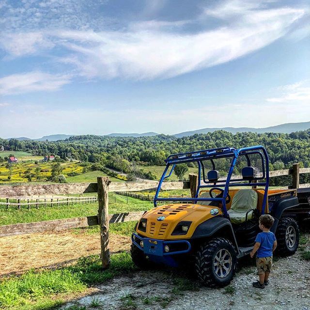 Frisky_Lemon's tweet photo. Just a boy and his gator. #vermont #toddleradventures https://t.co/STDoGfBDiO https://t.co/ToCdNrjbnu