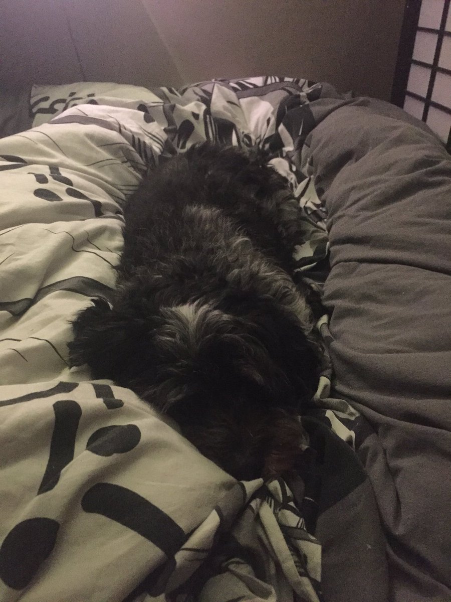 have some of my good boi while we’re at it