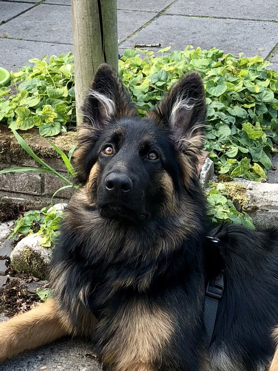 Ondertussen 6 maanden &amp; paar dagen 😍