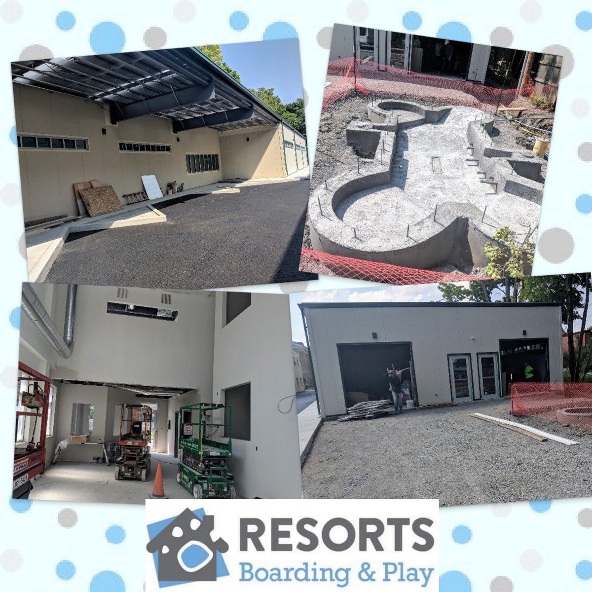 can i give my dog half a benadryl