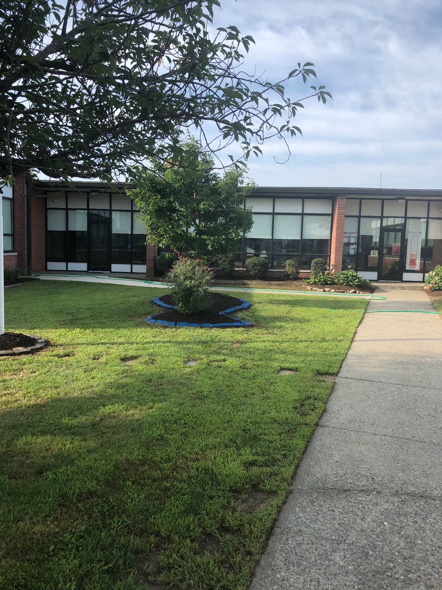 Mr.GregMcCarthy tweet media