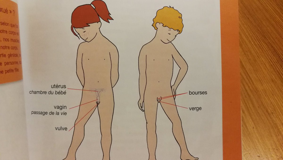 satanpenny666's tweet photo. L'angoisse en une image (tiré d'un livre d'éducation sexuelle catho) https://t.co/JvjBVux8Gk