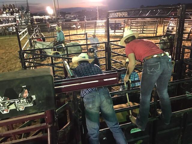 smashwebster's tweet photo. I started a new gig last night... #flanklady #fightingbulls #theyletmedostuff #codywebster #calebH https://t.co/KD42k0ghsc