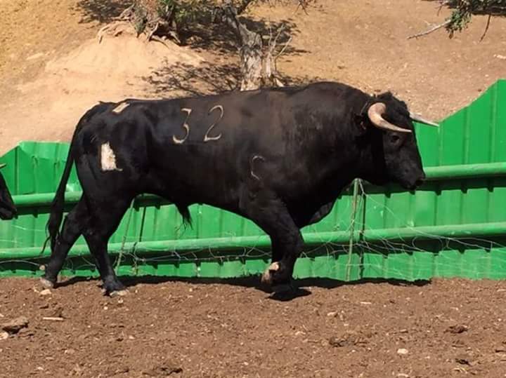TorosCella's tweet photo. 🐂 Mañana domingo, 2ª del Examen Hacia el Triunfo. Novillos de El Quintanar, Miura y Daniel Ramos, para Sebastián Fernández, @adriensalenc y @jisiegas.
🎫 Entradas en taquilla y 📞 682 610 898. https://t.co/uHh71MeAvr