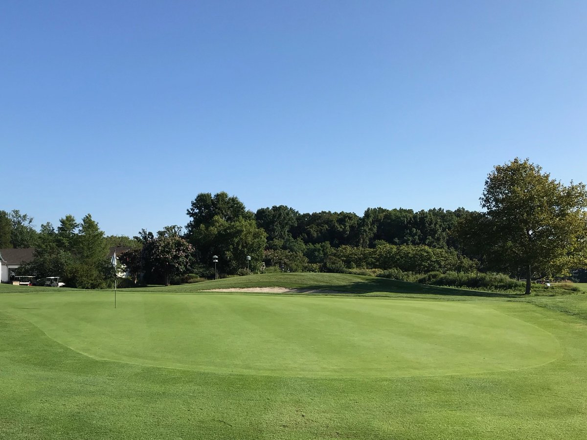 Queenstown Harbor tweet media