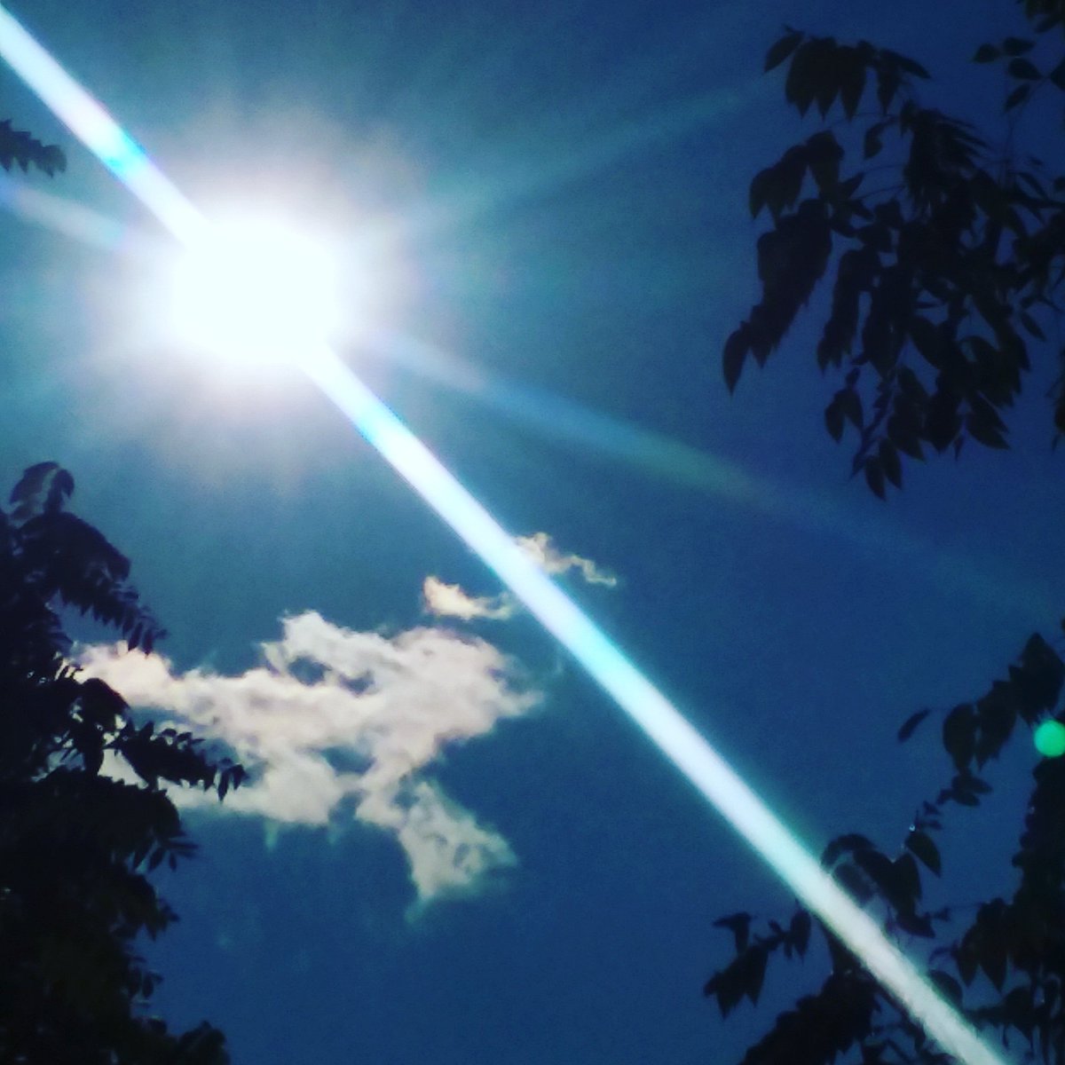 makestarsalign's tweet photo. #thesky #sunlight #clouds #thesun #myphotograpy https://t.co/BwH6LOIvmd