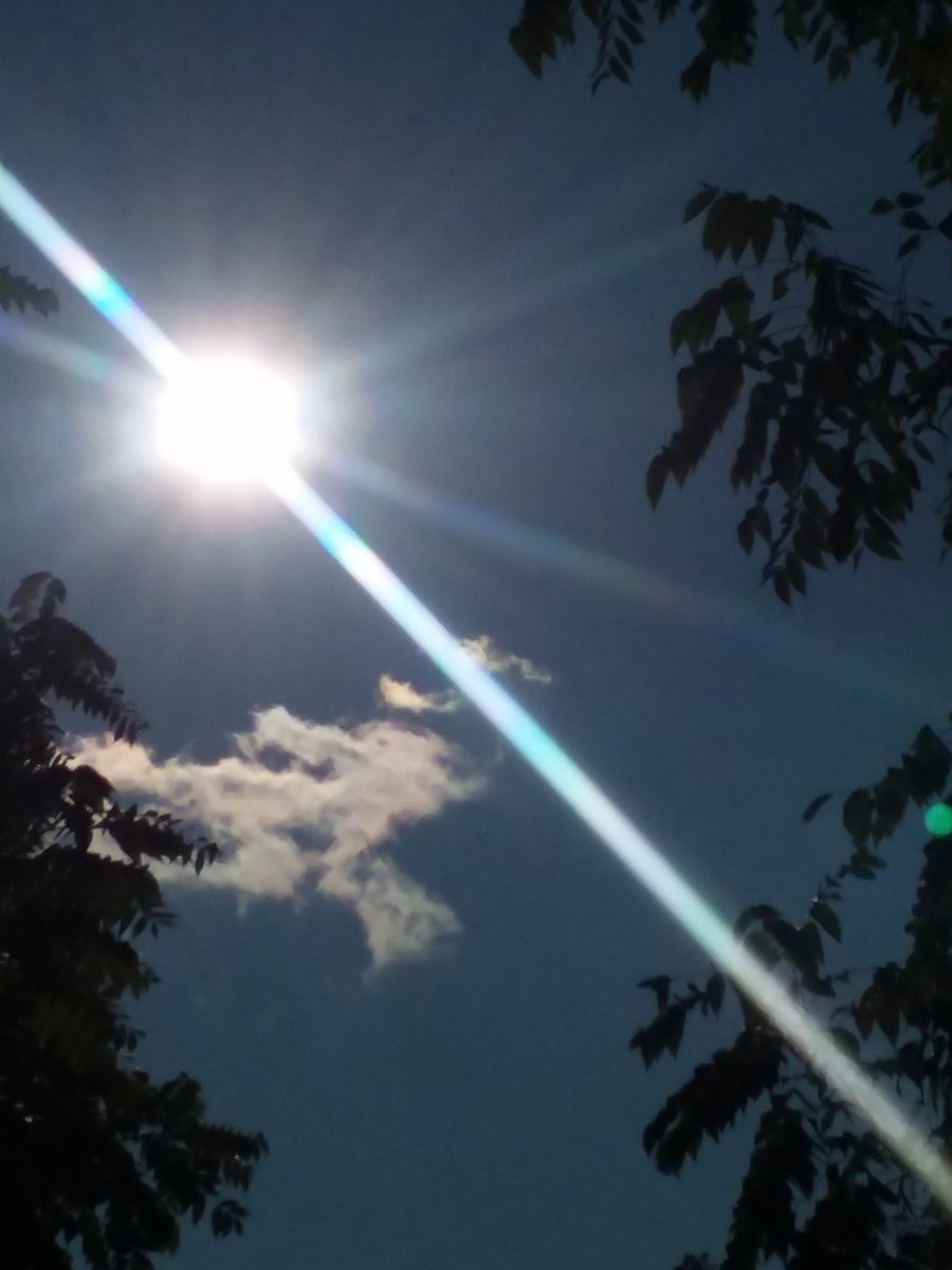 makestarsalign's tweet photo. #thesky #sunlight #clouds #myphotograpy https://t.co/fCBpJepBPY