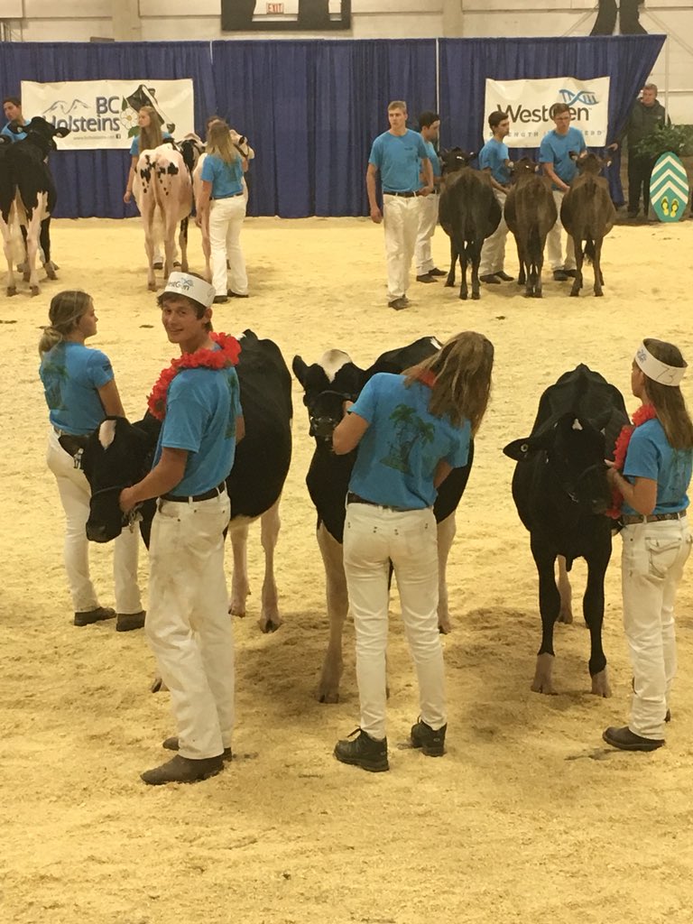 NewMarsDairy's tweet image. Today at western Canadian classic in Abbotsford BC, congrats to all participants and Niek with New Mars Solomon Rihanna 2 nd in senior class #awesomeshow