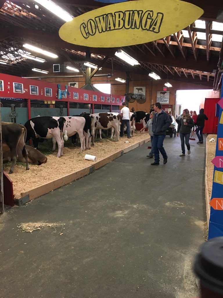 NewMarsDairy's tweet image. Today at western Canadian classic in Abbotsford BC, congrats to all participants and Niek with New Mars Solomon Rihanna 2 nd in senior class #awesomeshow