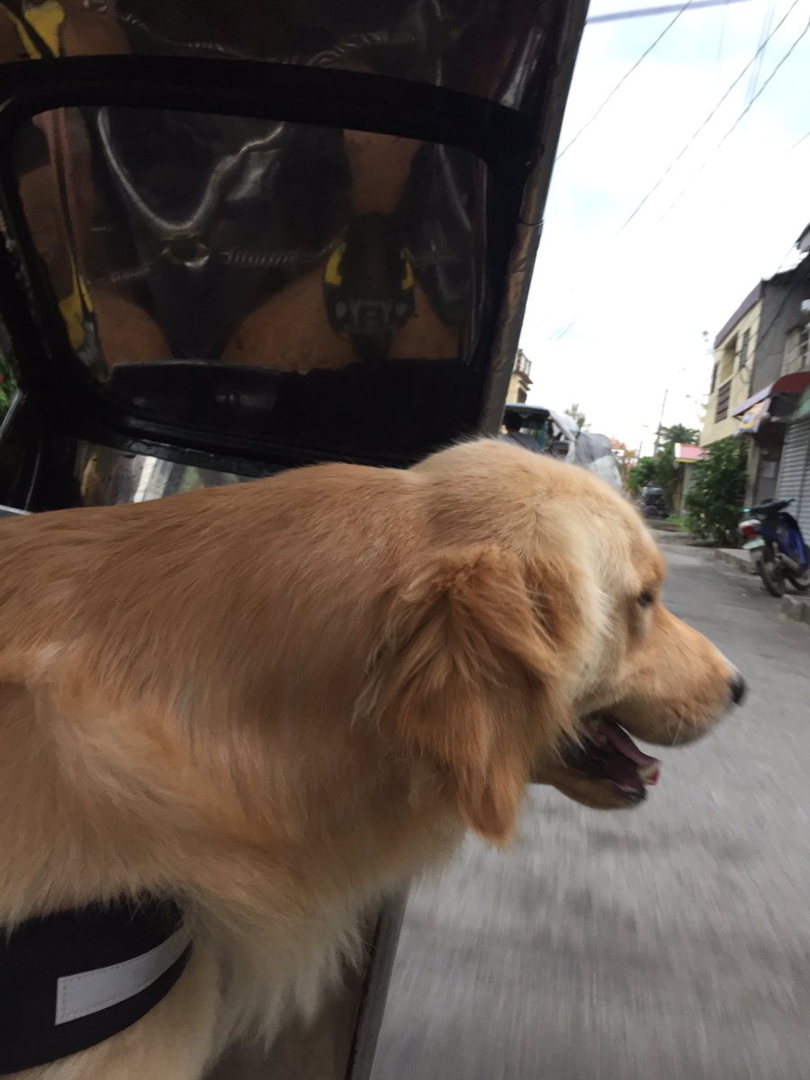 sandsurfs's tweet photo. my kasabay on the way to work https://t.co/dp5d012S8N